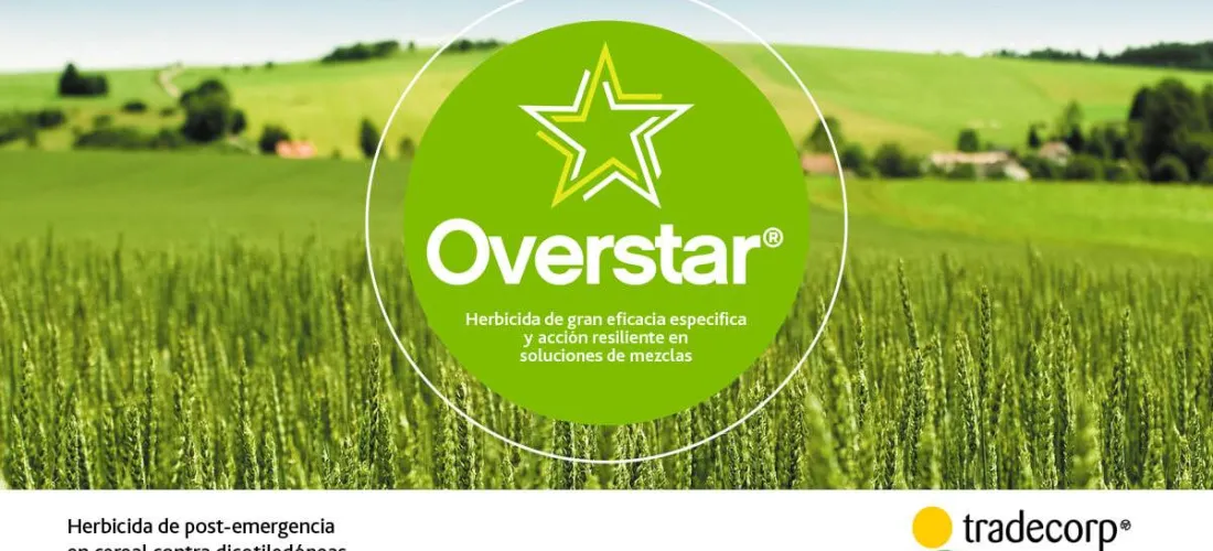 Overstar®, el fitosanitario de alta eficacia contra malas hierbas de hoja ancha en el cultivo de cereal