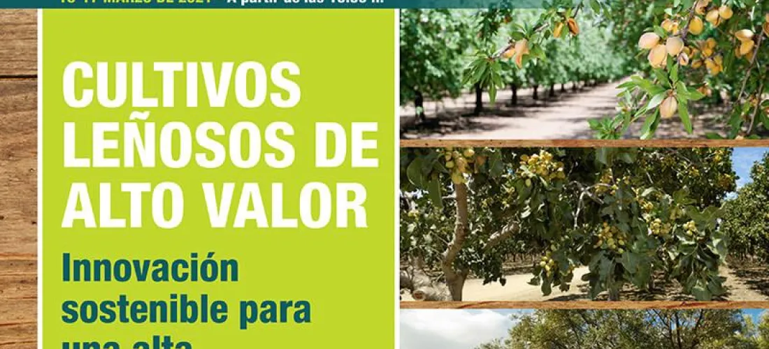 Claves en la innovación sostenible y la rentabilidad en el cultivo de leñosos