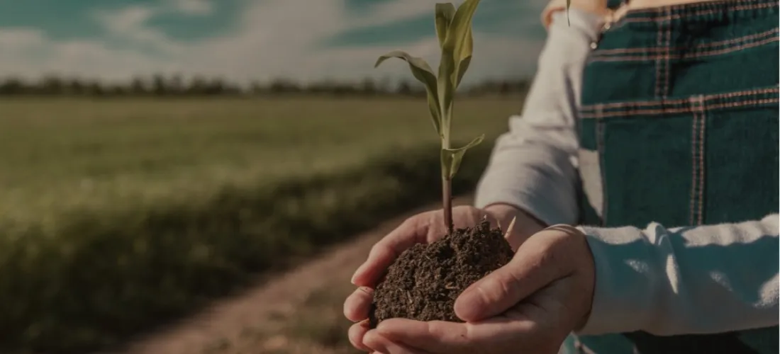 24 de Octubre: Día del Cambio Climático