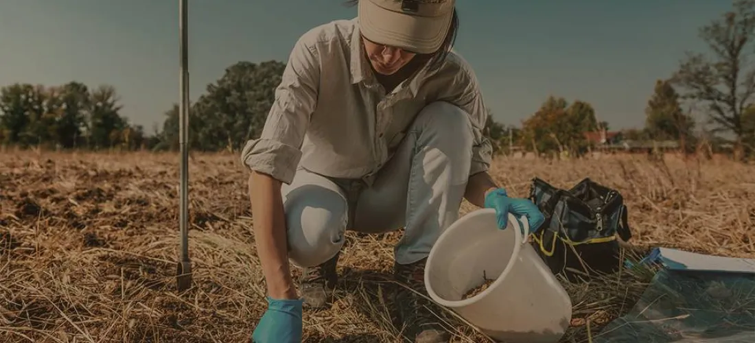 La agricultura regenerativa, en qué consiste