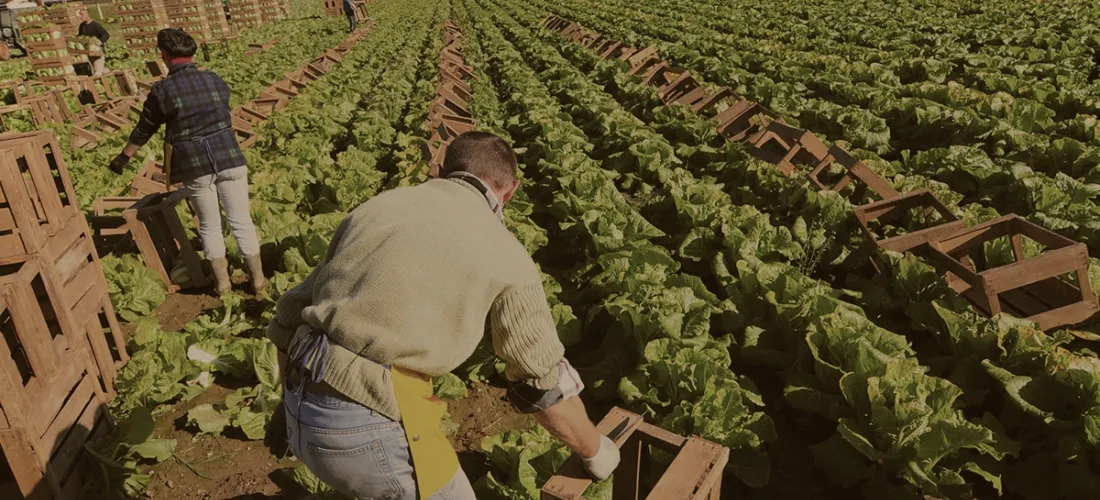 Productos ecológicos para agricultura: las soluciones de Tradecorp para un mundo mejor