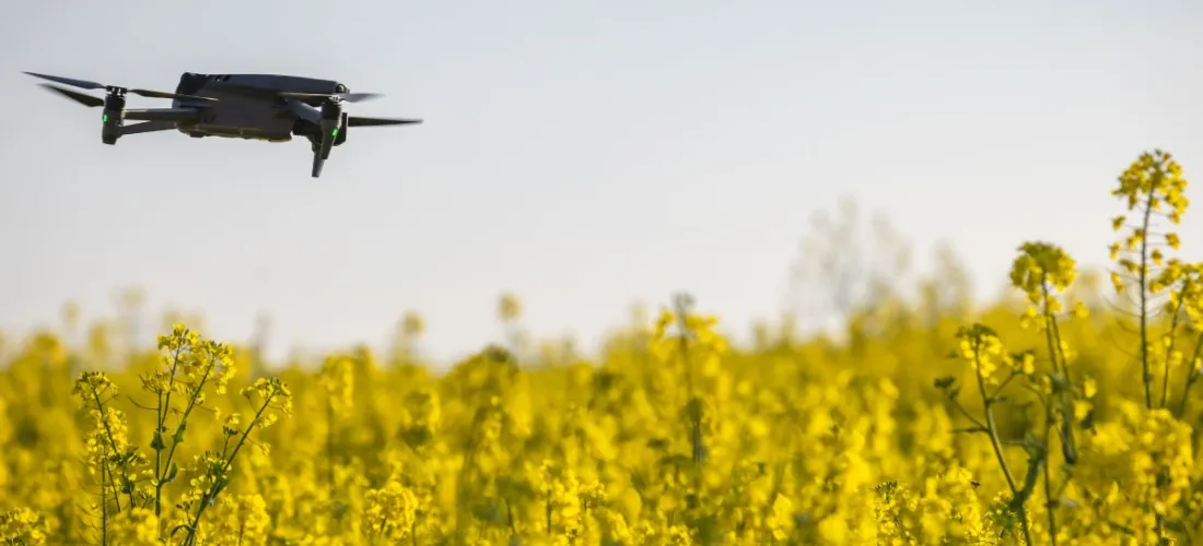 Big Data en la agricultura: el futuro inmediato