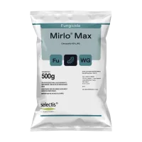 Mockup Mirlo Max 