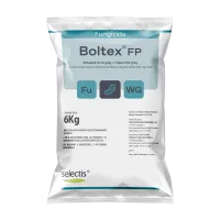 mockup_boltexfp