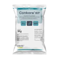 mockup_conkorawp