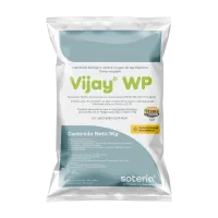mockup_vijaywp