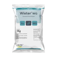 mockup_wister25wg