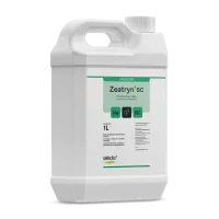 mockup_zeatrynsc