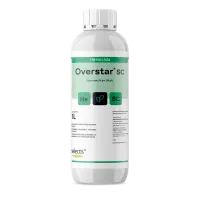 mockup_overstar