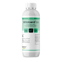 mockup_wildcard
