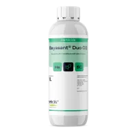mockup_bayasantduo