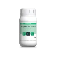 mockup_bayasantwg