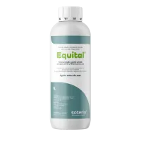 Equital