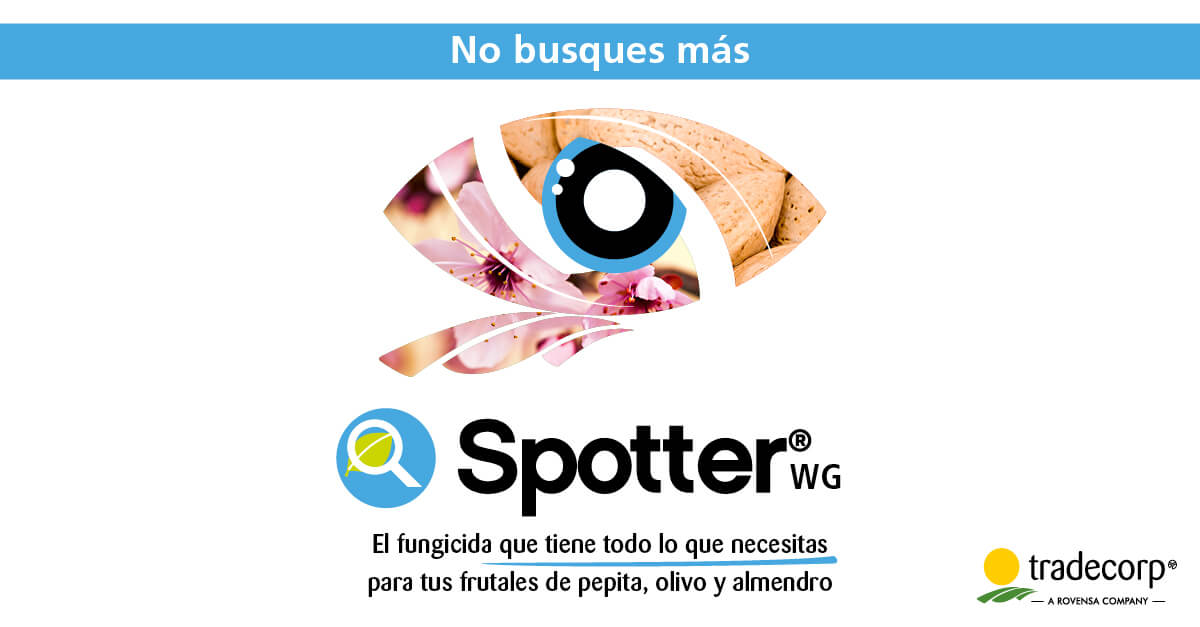 Spotter® WG, el fungicida más completo y eficaz para el cultivo de almendro