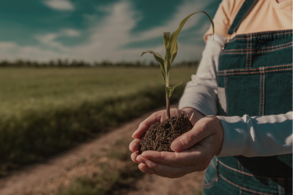 24 de Octubre: Día del Cambio Climático