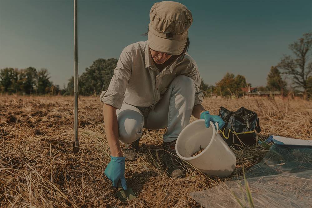 La agricultura regenerativa, en qué consiste