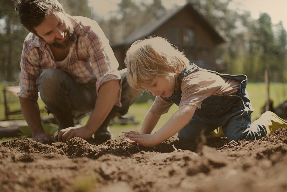 Agricultura sostenible, su importancia para el desarrollo