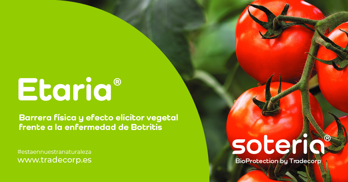 Etaria® nuestro protector natural, eficaz en hortícolas contra botritis