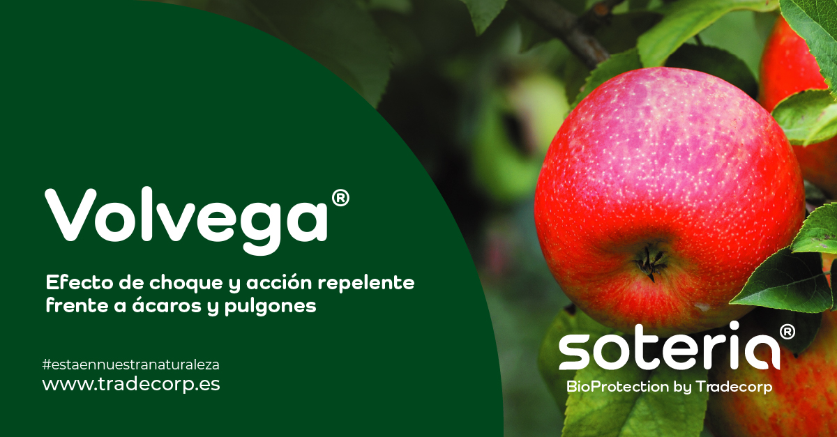 Volvega®, efecto de choque natural contra pulgones y ácaros