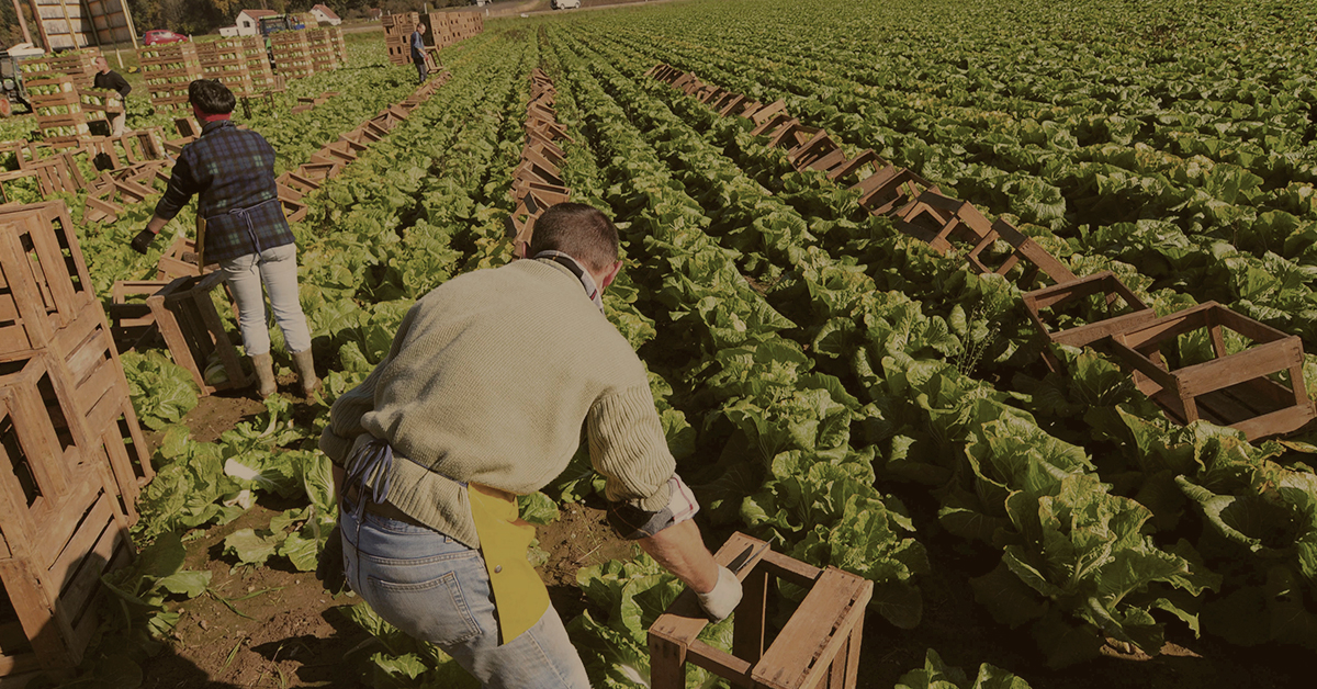 Productos ecológicos para agricultura: las soluciones de Tradecorp para un mundo mejor