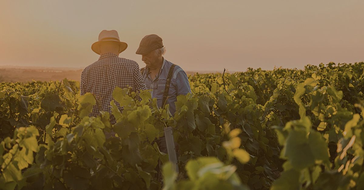 Beneficios de la agricultura tradicional combinada con nuestras soluciones