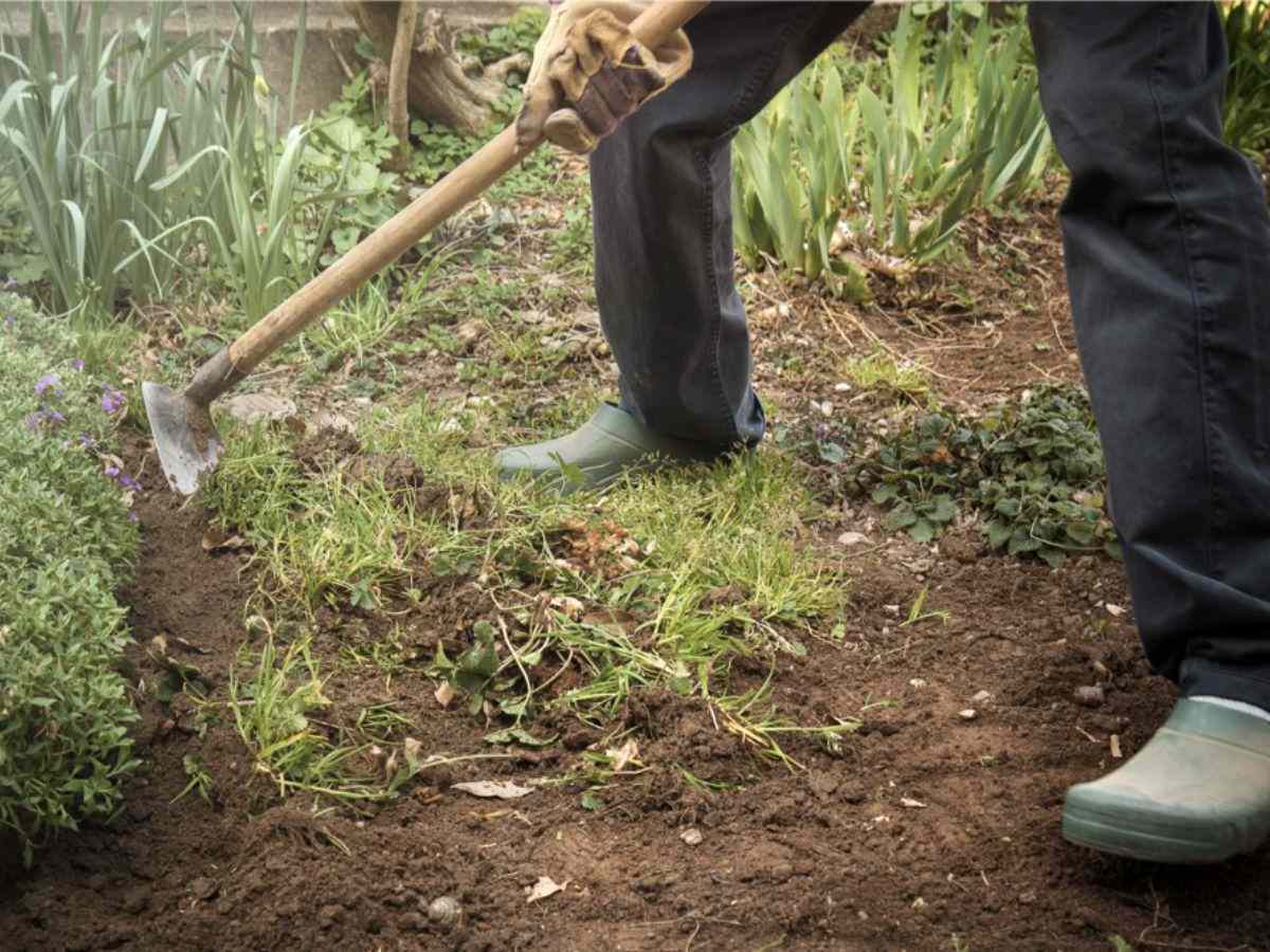 Cómo eliminar las malas hierbas