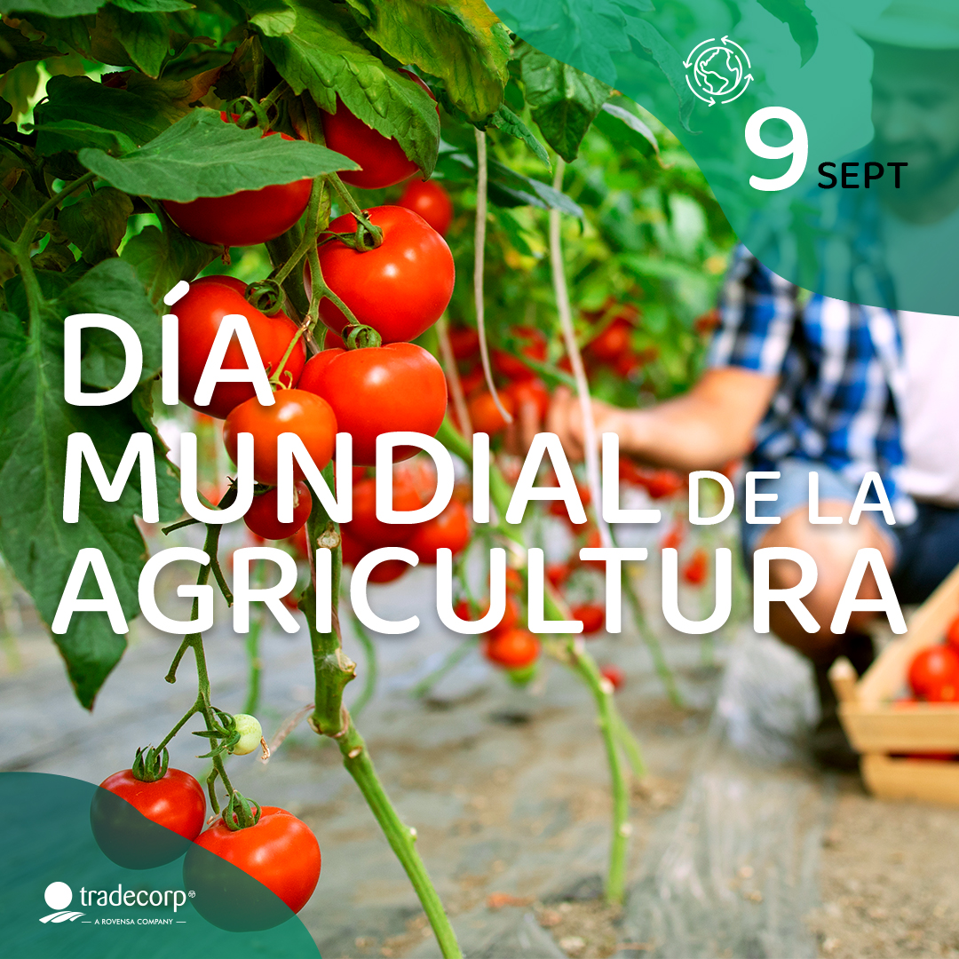 Hoy celebramos el Día Mundial de la Agricultura