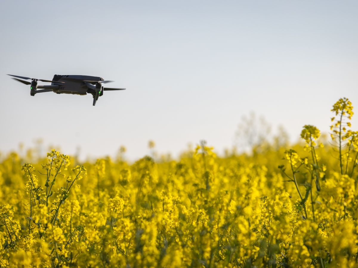 Big Data en la agricultura: el futuro inmediato