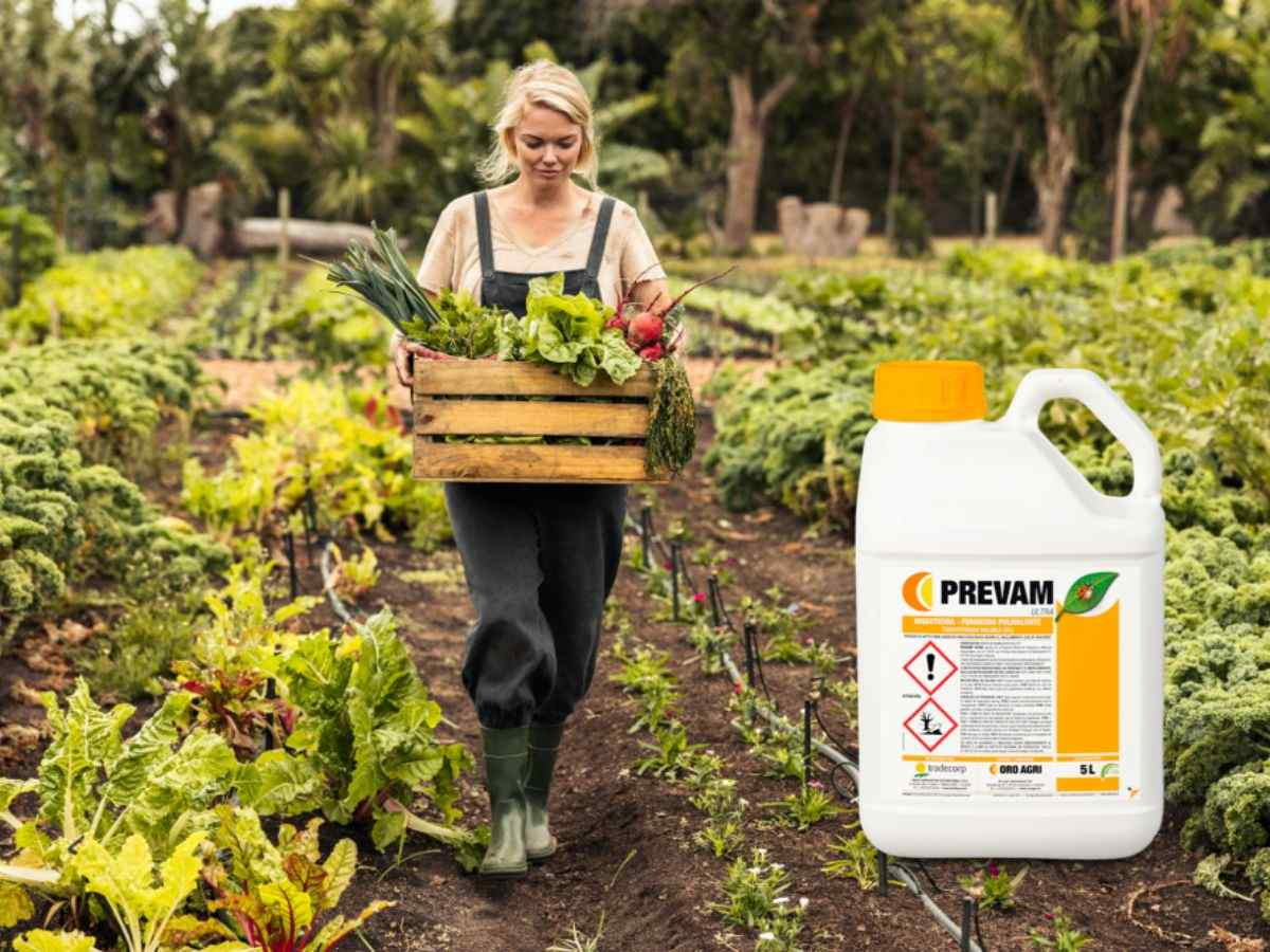 Descubre Prevam Ultra®: el insecticida ecológico de Tradecorp