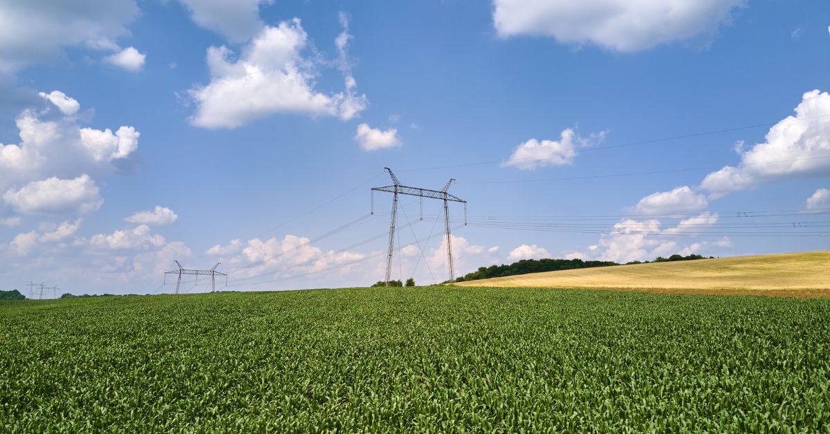 Eficiencia energética en la agricultura: ¿es posible?